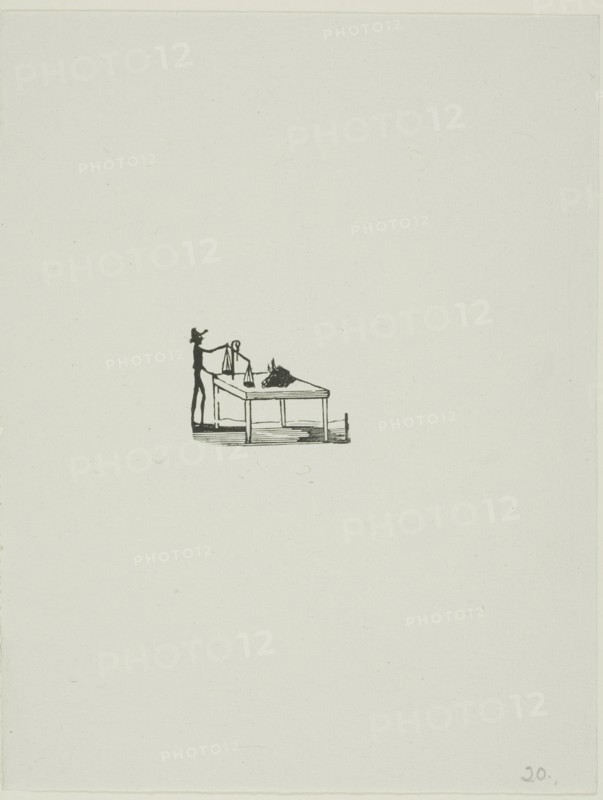 The Butcher, n.d.