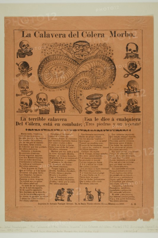 The Calavera of Cholera, n.d.