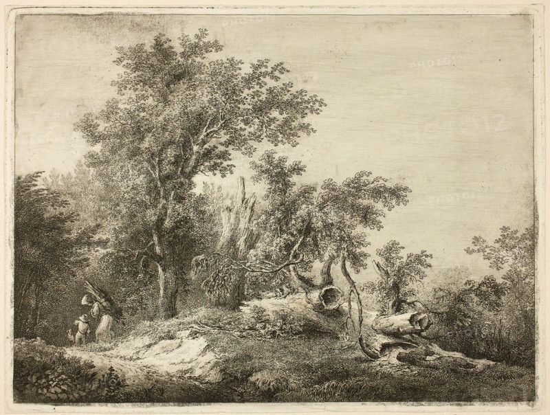 The Fallen Tree Trunk, n.d.