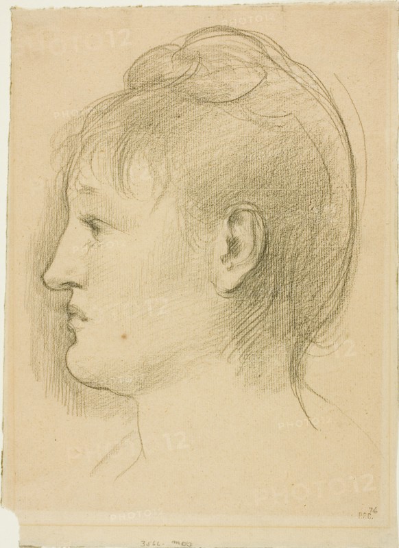 Head of a Woman, c. 1890.