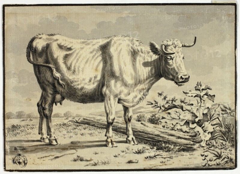 Cow, n.d. Possibly after Karel Dujardin.