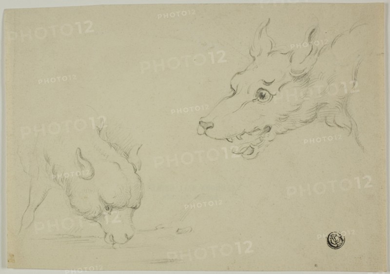 Wolf and Lamb, n.d.