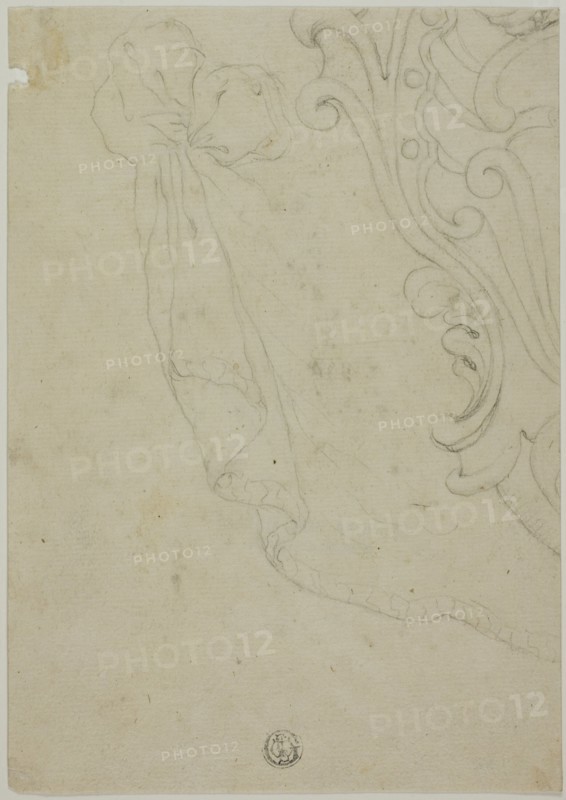 Fragment of Scroll Ornament, n.d.