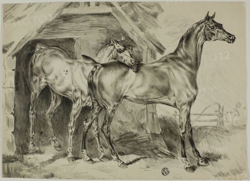 Standing Mare and Colt, n.d.