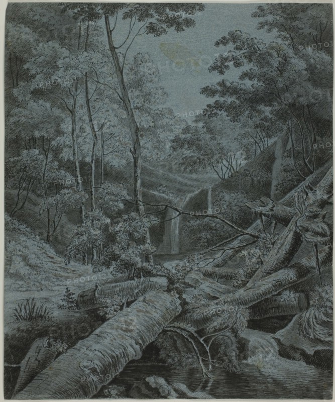 Waterfall and Fallen Logs in Forest, n.d.