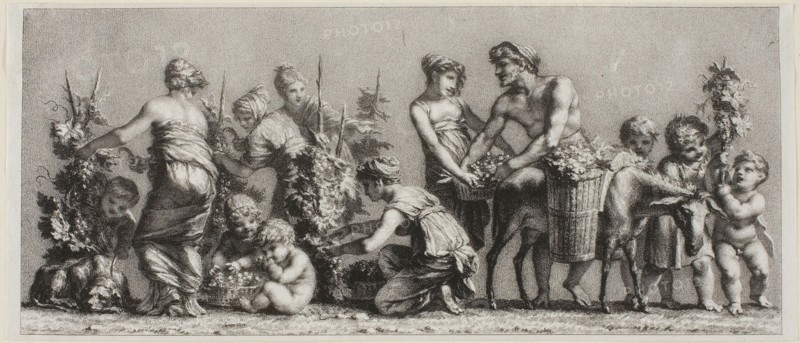 Scene of Grape Harvest, n.d.