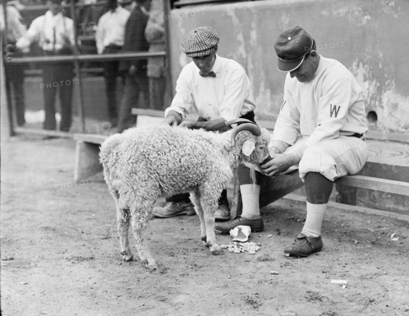 William "Germany" Schaefer, Washington Al (Baseball), 1912.