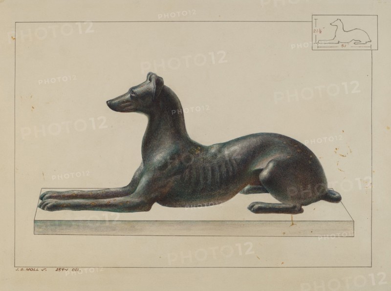 Greyhound, c. 1938.