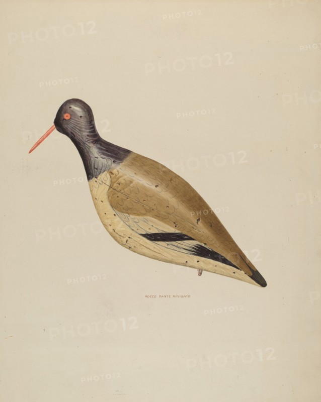 Decoy, c. 1939.