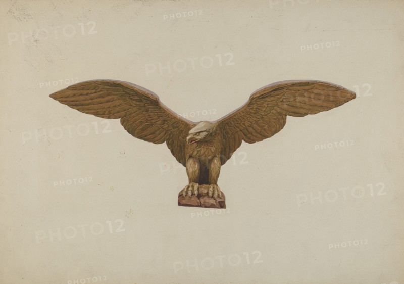Eagle, c. 1939.