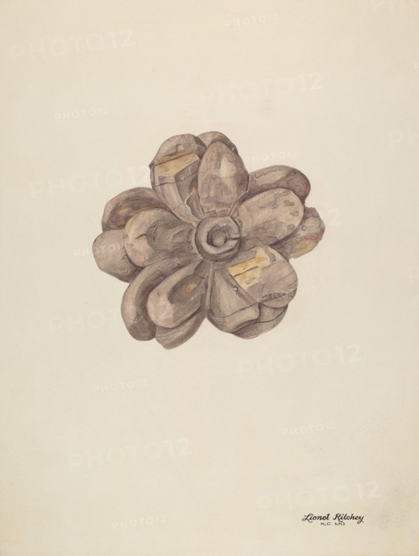 Wood Carving - Flower, c. 1939.