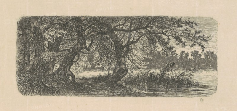 Water Elms, 1870s-1880s.