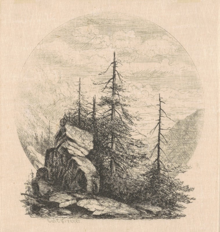 Pines, 1870s-1880s.
