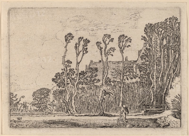 The Sower, 1621.