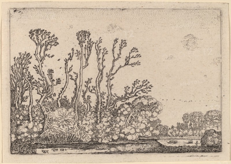 Herd of Sheep near the Hague, 1621.