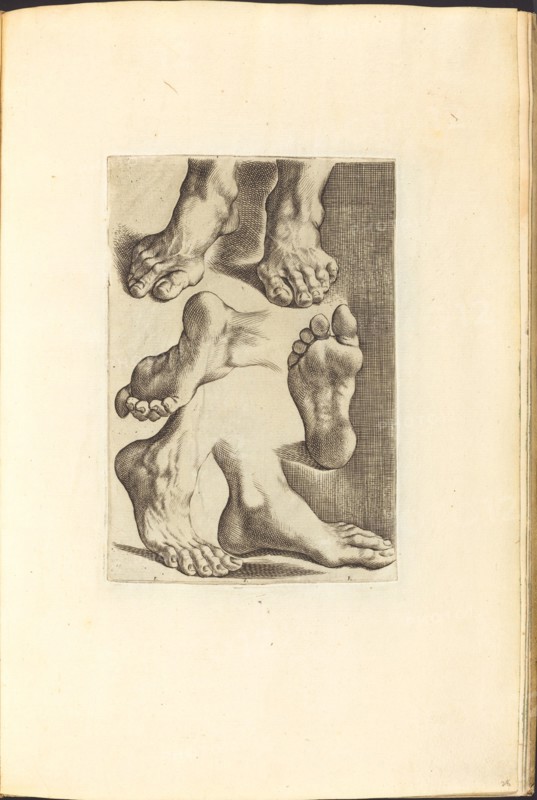 Print from Drawing Book, c. 1610/1620.