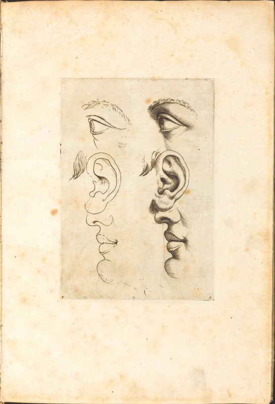 Print from Drawing Book, c. 1610/1620.