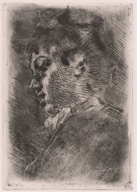 Portrait of a Young Woman in Profile, c. 1884.