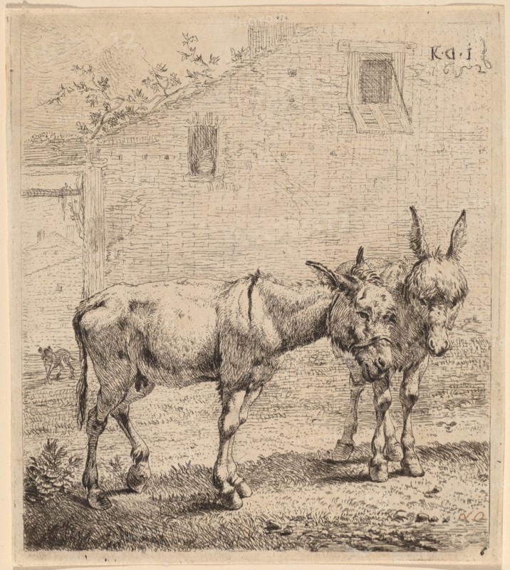Two Asses, 1652.