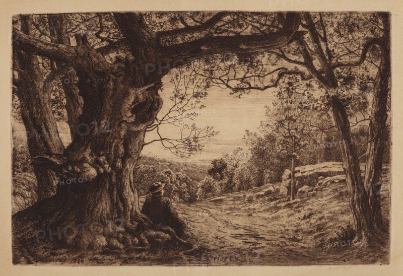 On The Hillside, 1880.