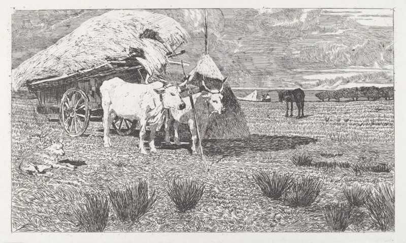 Oxen Yoked to the Cart (Maremma) [Bovi al carro (Maremma)], 1886/1887.