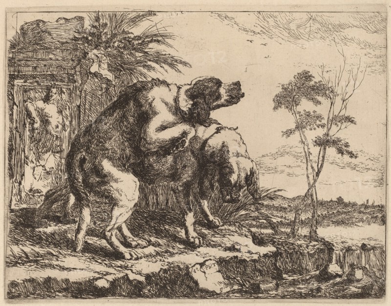 Two Dogs Copulating, probably c. 1640/1642.