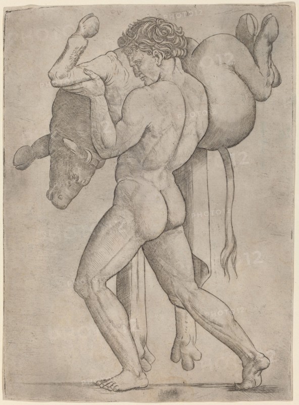 Hercules and the Cretan Bull, c. 1514/1515.