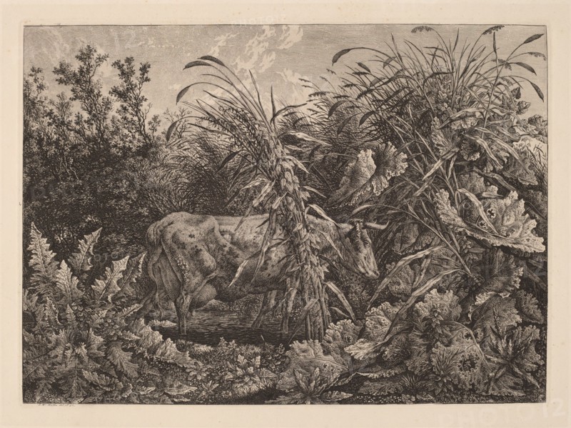 The Cow in the Swamp, 1800/1803.