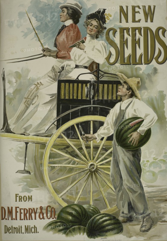 New seeds, c1895 - 1917.