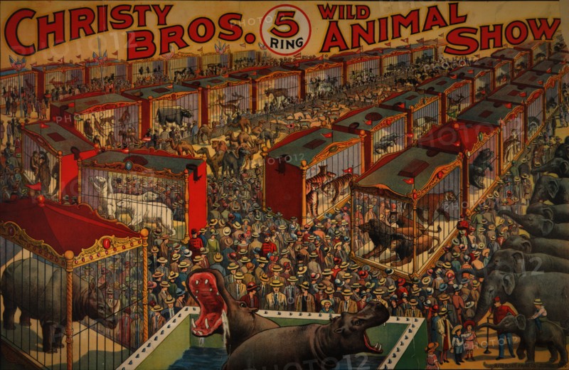 Christy Bros. 5 ring wild animal show circus poster, c1919 - 1930. [Publisher: Riverside Print Co.; Place: Chicago]