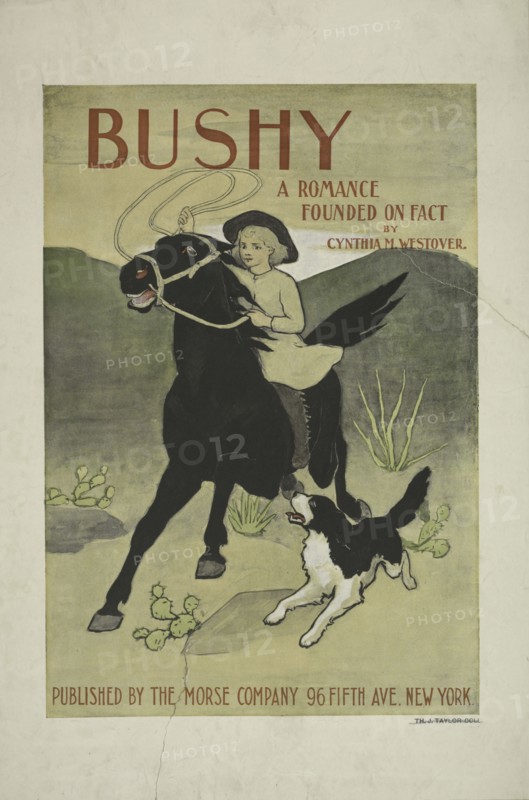 Bushy, c1895 - 1911. Originally published: 1896