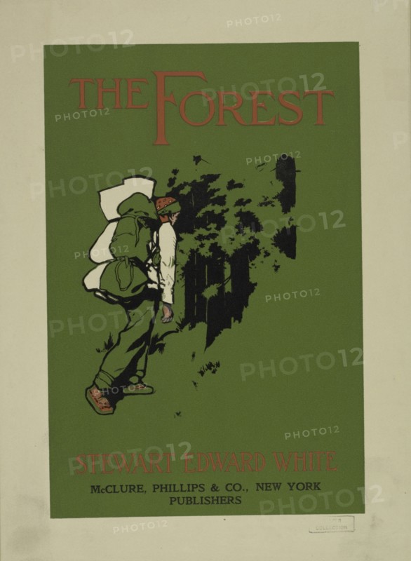 The forest, c1895 - 1911. Published: 1903