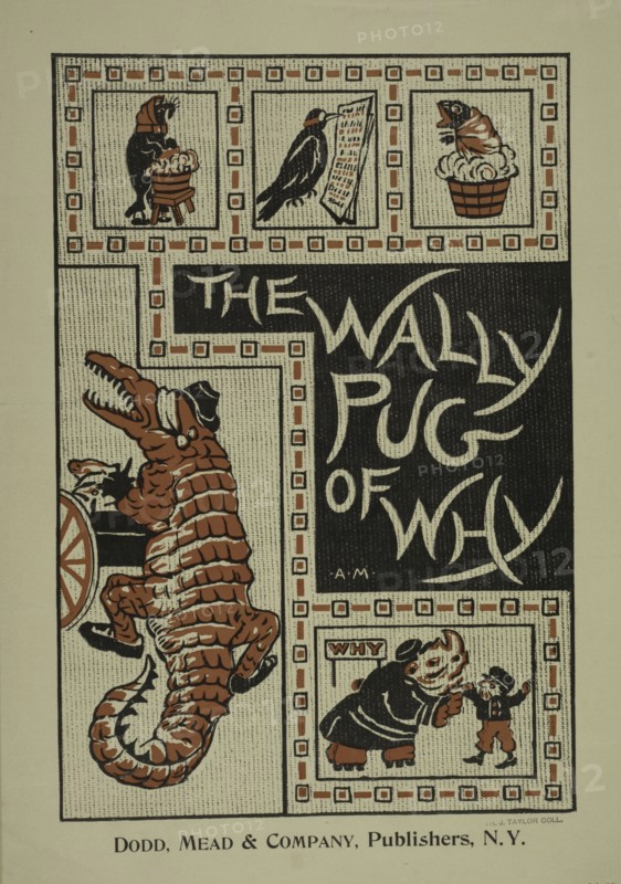 The Wally Pug of Why, c1896.