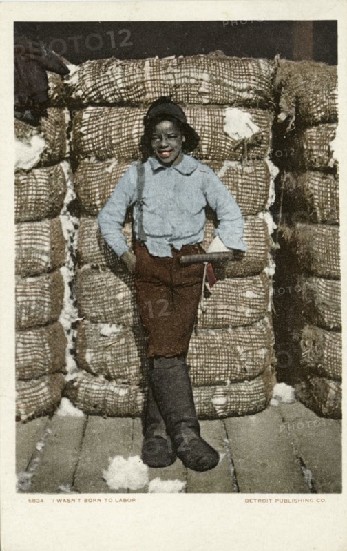 I Wasn't Born to Labor, 1902 - 1903.