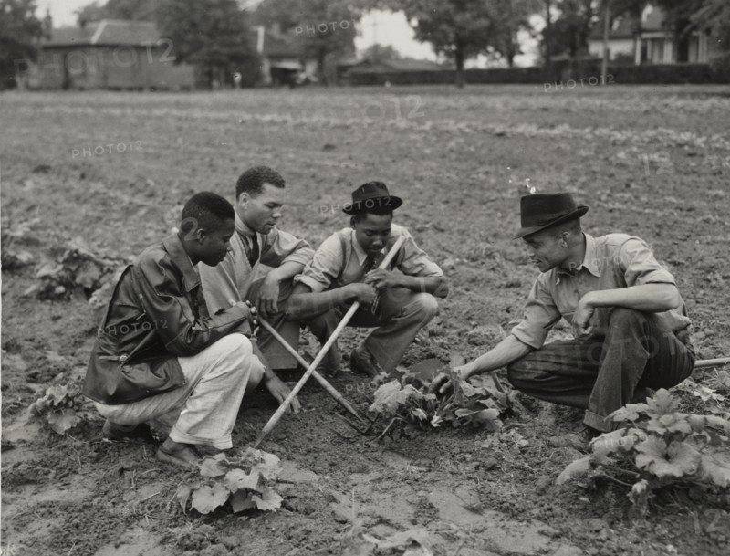 Fort Valley Normal and Industrial School, experimental garden, 1939 - 1943.