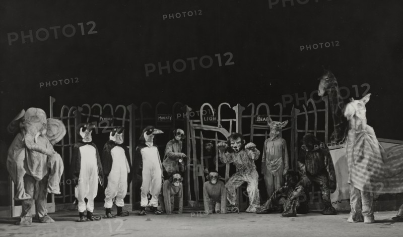 The Zoo: Act II, Scene 2, 1937.