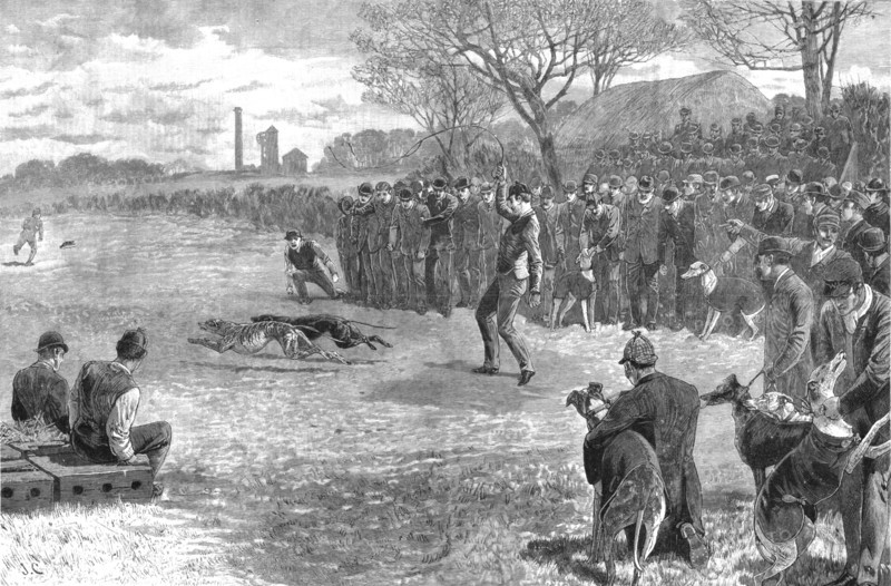 ''A Pitmans Holiday -- Rabbit Coursing with Greyhounds', 1890. Creator: Unknown.