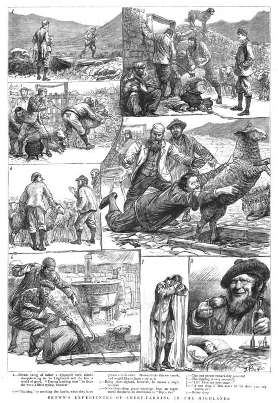 ''Brown's Experiences of Sheep - Farming in the Highlands', 1890. Creator: Unknown.
