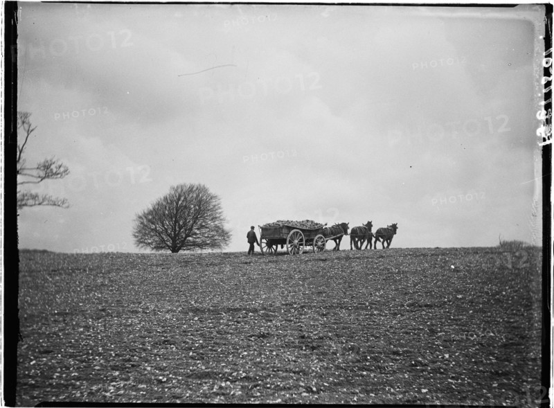 Slindon, Arun, West Sussex, 1908. Creator: Katherine Jean Macfee.
