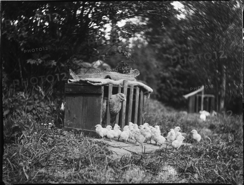 Clayton's Farm, Speldhurst, Tunbridge Wells, Kent, 1911. Creator: Katherine Jean Macfee.