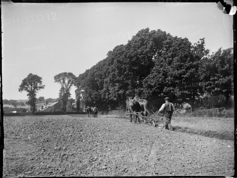 Easton, Freshwater, Isle of Wight, 1914. Creator: Katherine Jean Macfee.