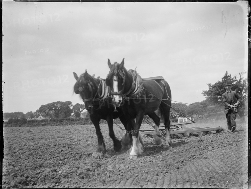 Easton, Freshwater, Isle of Wight, 1914. Creator: Katherine Jean Macfee.
