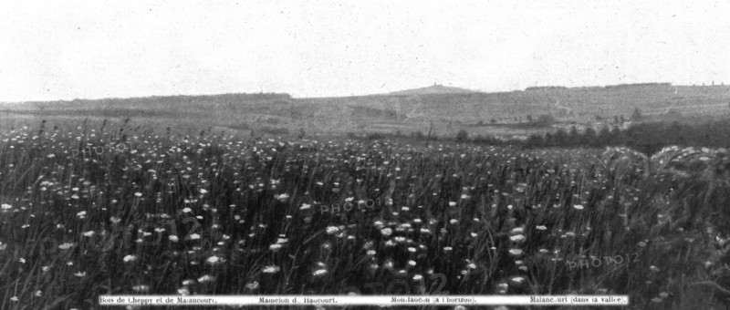 'Panoramas du champ de bataille, a l'ouest de la Meuse; Les arbres, sur la crete..., 1916. Creator: Unknown.