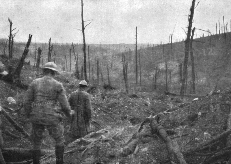 'La reprise du bois de la Caillette; Dans le ravin de la Caillette : au fond, le bois de..., 1916. Creator: Unknown.