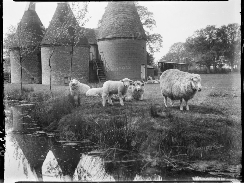 Luckhurst, Lower Road, Stone-cum-Ebony, Ashford, Kent, 1926. Creator: Katherine Jean Macfee.