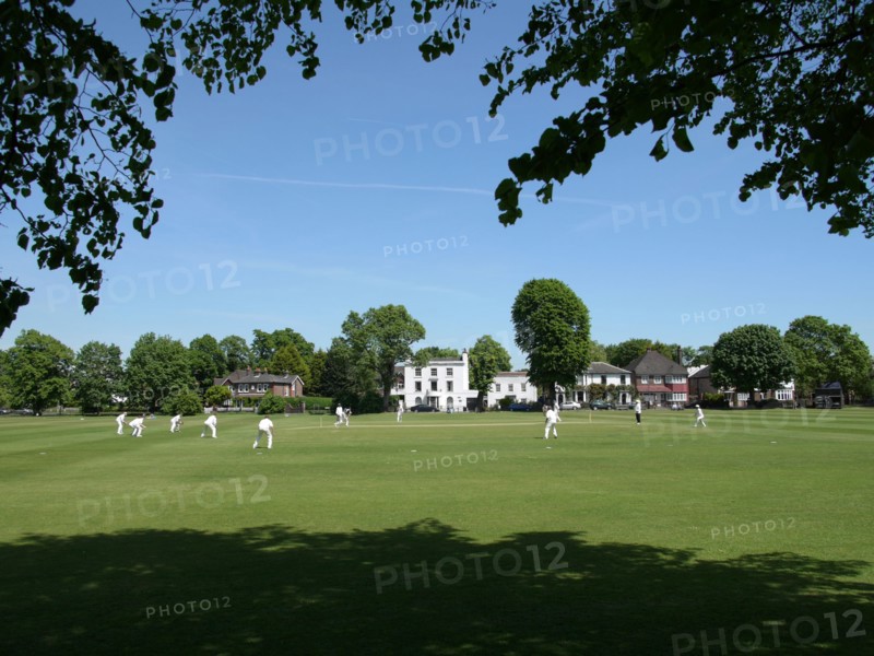 Cricket Green, Mitcham, Merton, London, 2010. Creator: Simon Inglis.