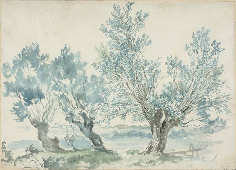 Three Willow Trees, n.d.