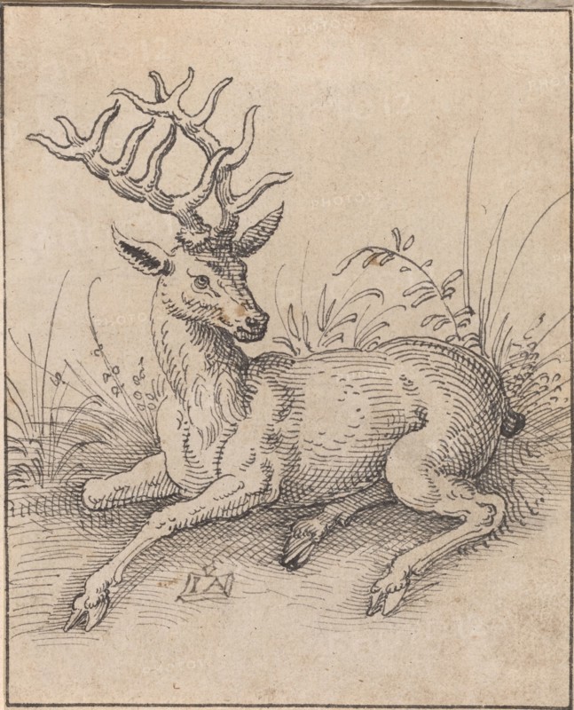 The Stag. Creator: Jost Ammon.