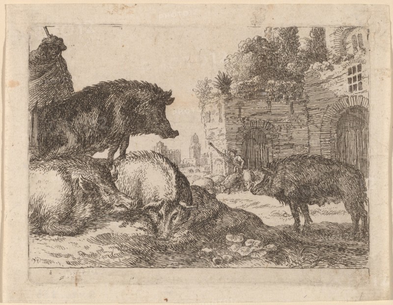 Pigs. Creator: Herman van Swanevelt.