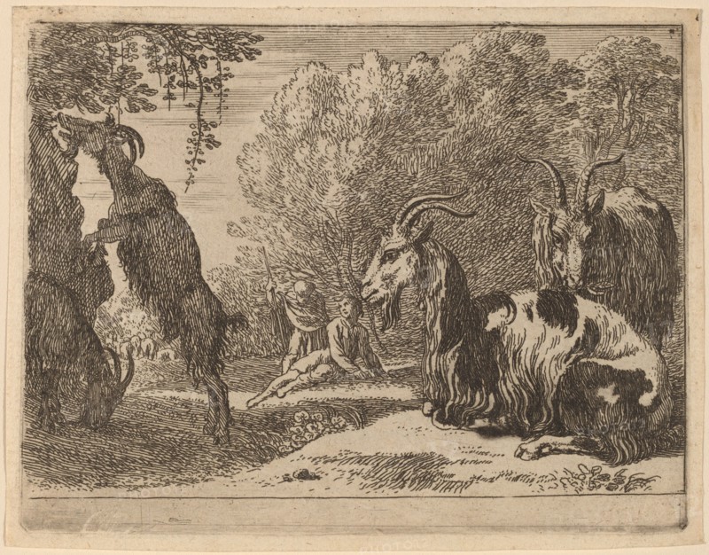 Goats. Creator: Herman van Swanevelt.
